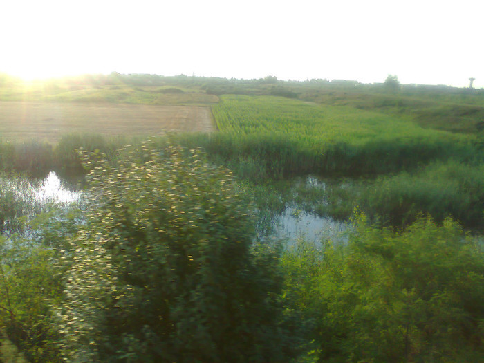 Fotografie1396 - EXCURSIE BOLOGA CLUJ NAPOCA