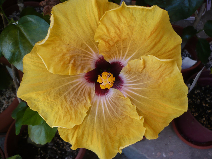 P1130058