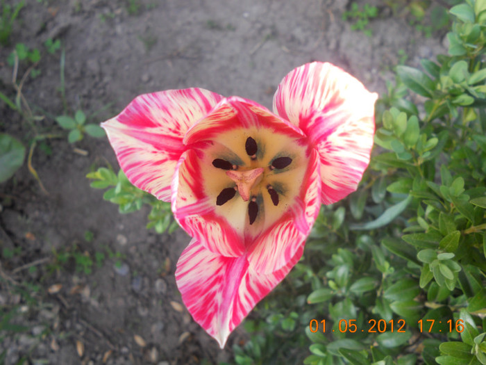 DSCN0771