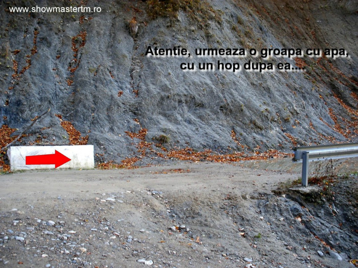 album_4406_78658