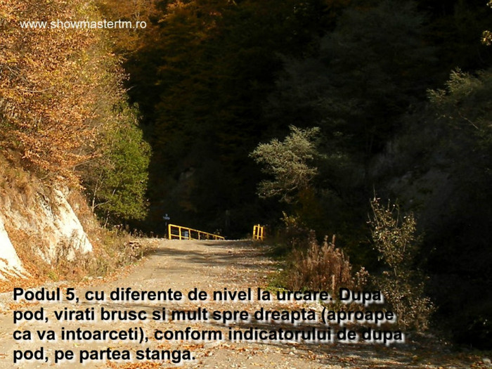 album_4406_78660