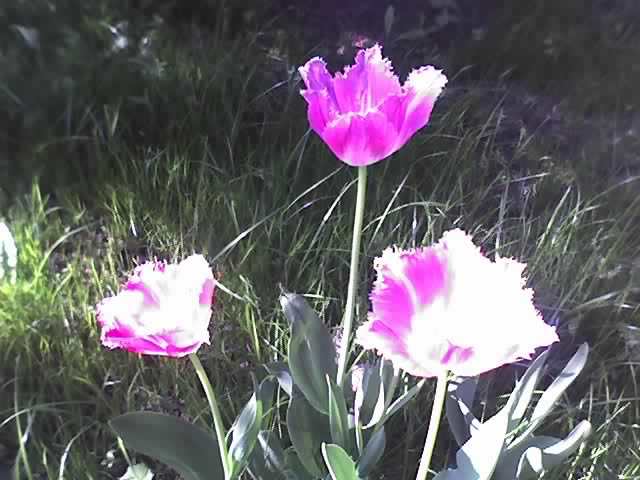 30-04-12_1019