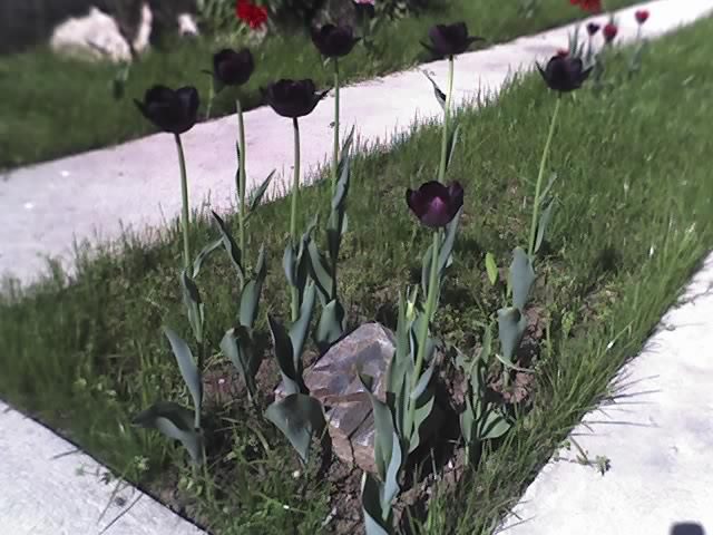 30-04-12_1020