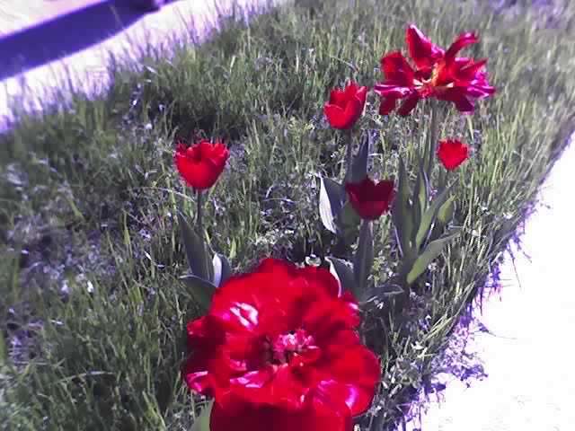 30-04-12_1021