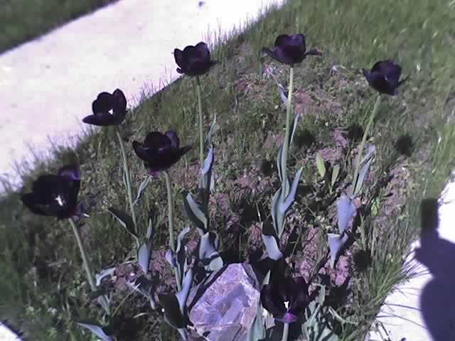 30-04-12_1026