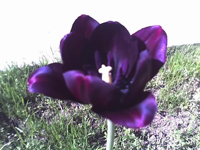 30-04-12_1027