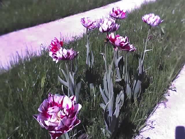 30-04-12_1028