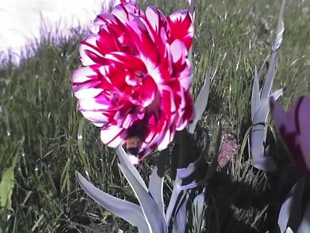 30-04-12_1029