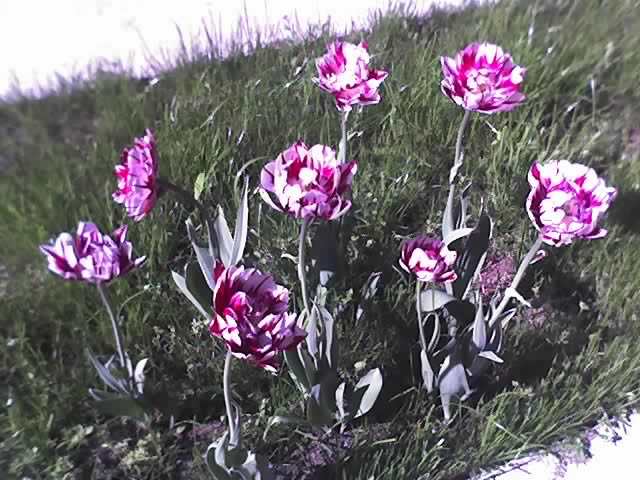 30-04-12_1030