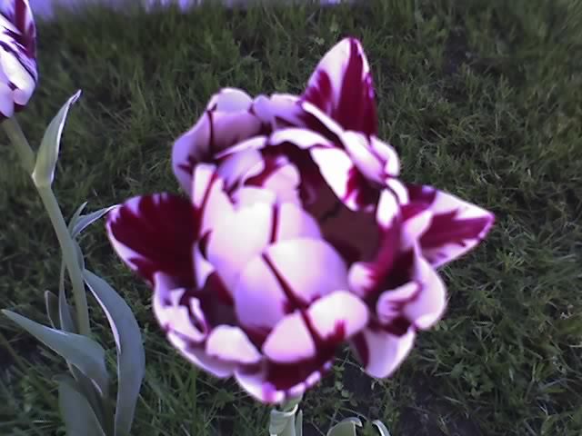 30-04-12_1755