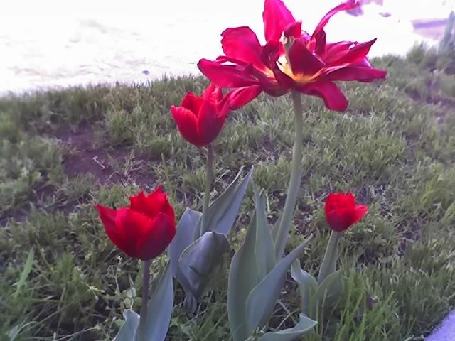 30-04-12_1757