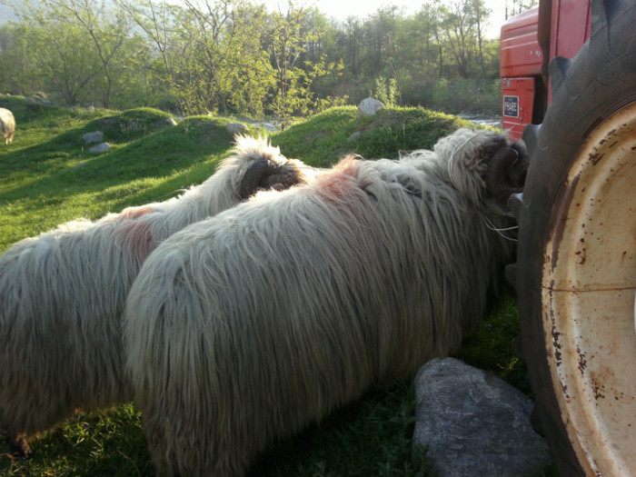 01052012767 - PUI 1mai 2012