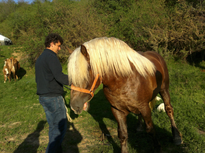 01052012778 - PUI 1mai 2012