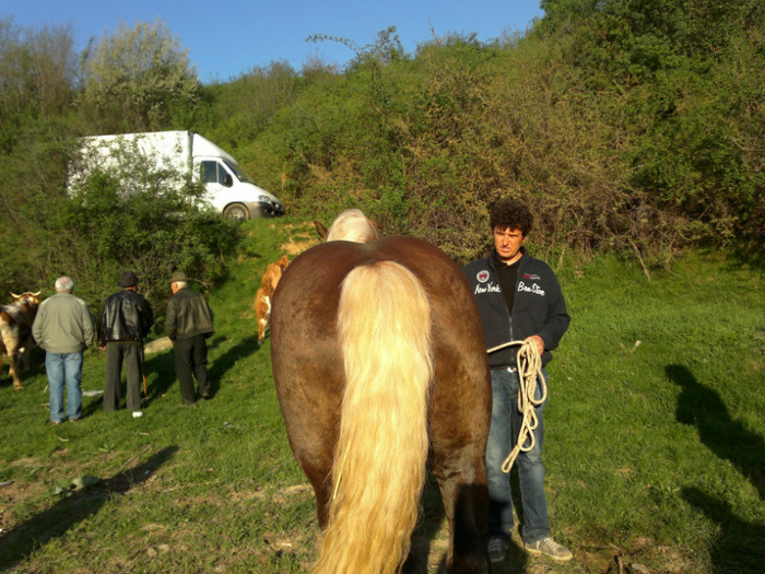 01052012779 - PUI 1mai 2012