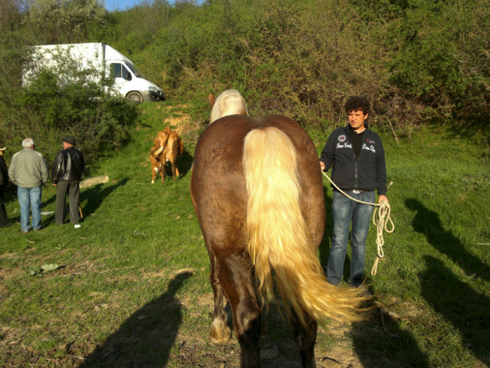 01052012780 - PUI 1mai 2012