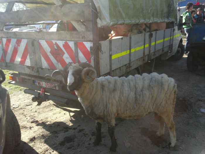 01052012810 - PUI 1mai 2012