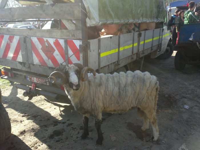 01052012811 - PUI 1mai 2012