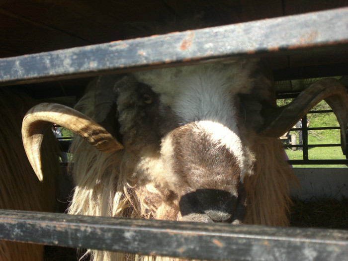 01052012815 - PUI 1mai 2012