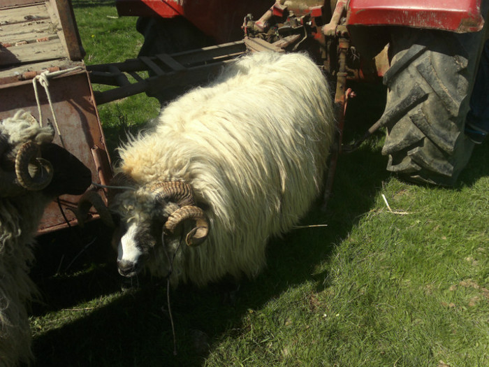 01052012819 - PUI 1mai 2012