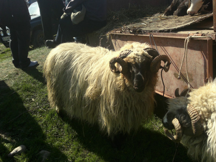 01052012821 - PUI 1mai 2012