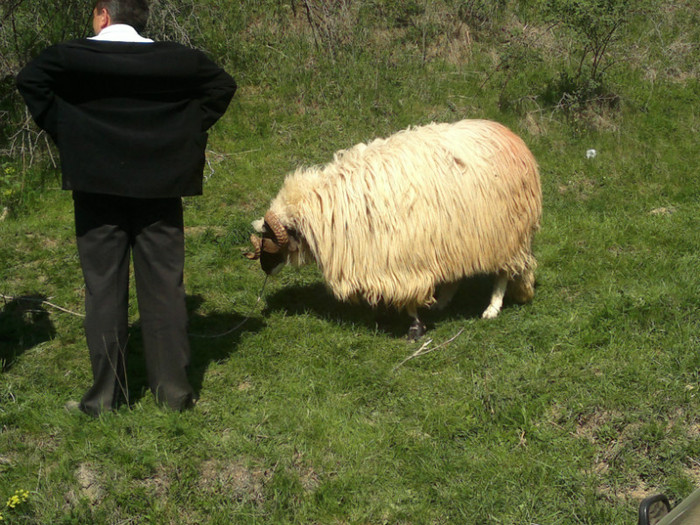 01052012838 - PUI 1mai 2012