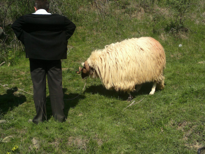 01052012839 - PUI 1mai 2012