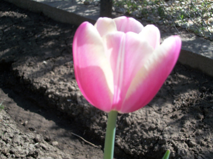 100_9024