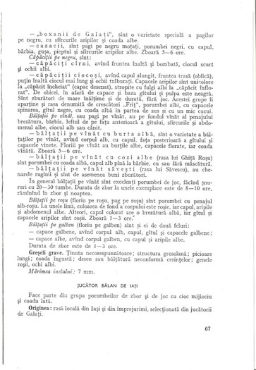 Bonatiu 1c - 01 Jucatorii de Galati materiale scrise