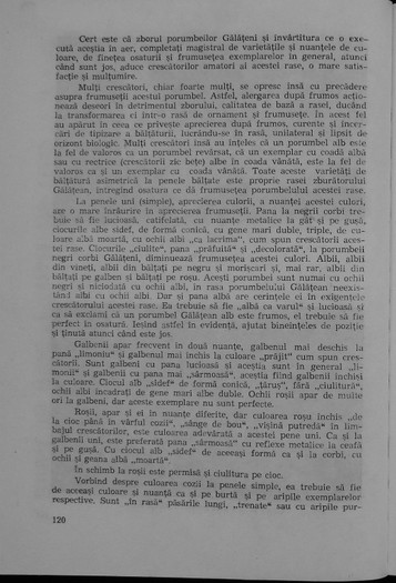 carte leonte 3 - 01 Jucatorii de Galati materiale scrise