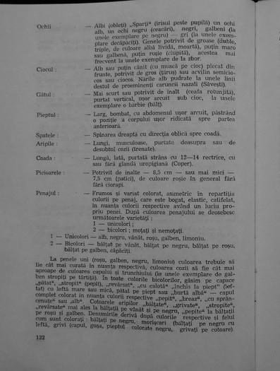 leonte carte 5 standard
