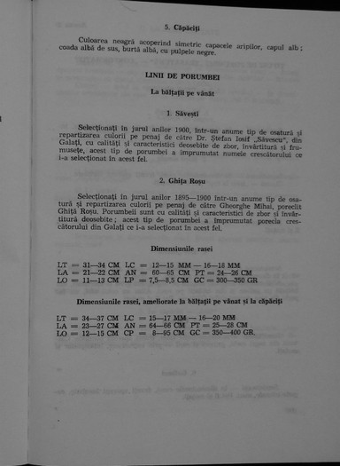 leonte carte 7 dimensiuni
