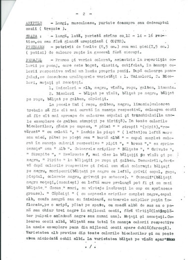 leonte columbina 2 trandafir