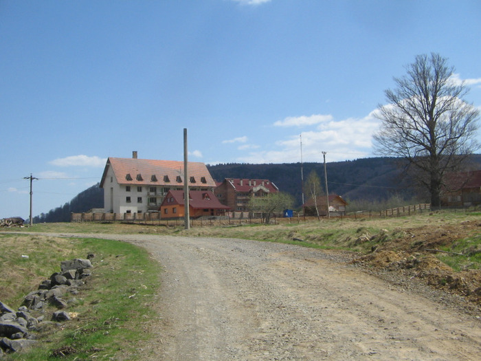 IMG_6004; Cabana Pleşca, un loc unde sălăşluiesc în pace ciorile.
