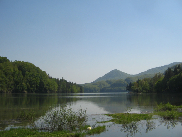 IMG_6109; Coada lacului Firiza.
