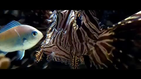Oceans Bloopers - Joe Jonas and Demi Lovato 0513