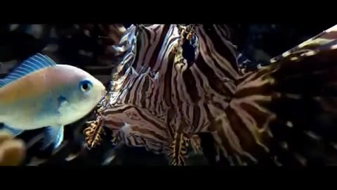 Oceans Bloopers - Joe Jonas and Demi Lovato 0514