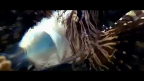 Oceans Bloopers - Joe Jonas and Demi Lovato 0517