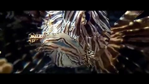 Oceans Bloopers - Joe Jonas and Demi Lovato 0522