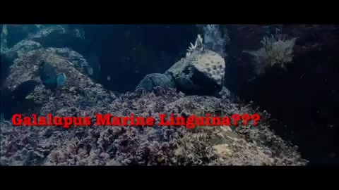 Oceans Bloopers - Joe Jonas and Demi Lovato 0578