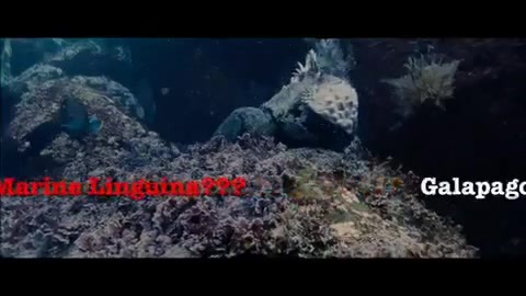 Oceans Bloopers - Joe Jonas and Demi Lovato 0580