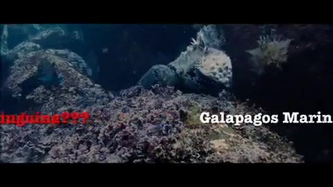 Oceans Bloopers - Joe Jonas and Demi Lovato 0581
