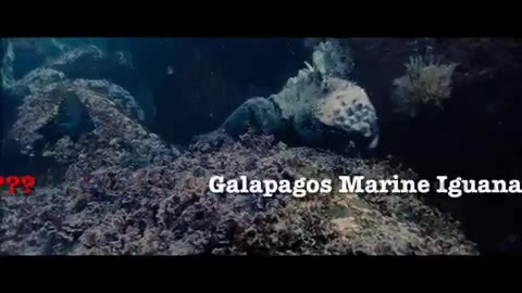 Oceans Bloopers - Joe Jonas and Demi Lovato 0582