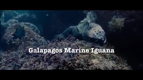 Oceans Bloopers - Joe Jonas and Demi Lovato 0583
