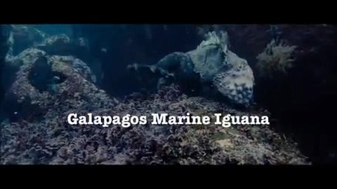 Oceans Bloopers - Joe Jonas and Demi Lovato 0587