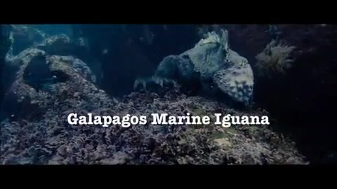 Oceans Bloopers - Joe Jonas and Demi Lovato 0588