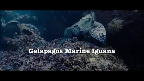 Oceans Bloopers - Joe Jonas and Demi Lovato 0591