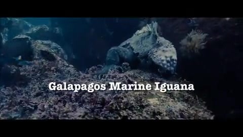 Oceans Bloopers - Joe Jonas and Demi Lovato 0592