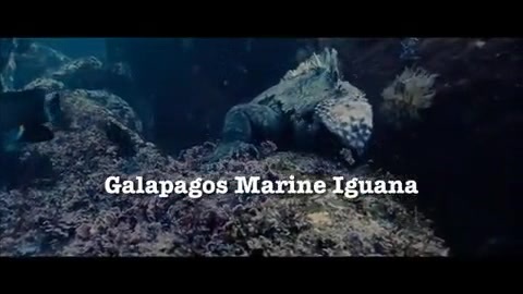 Oceans Bloopers - Joe Jonas and Demi Lovato 0596