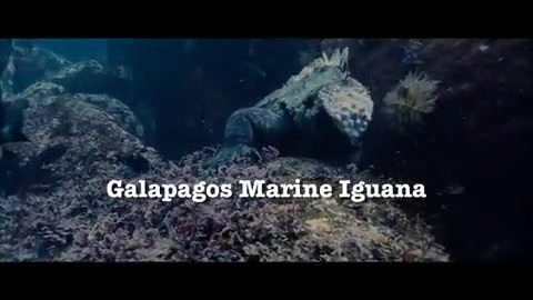 Oceans Bloopers - Joe Jonas and Demi Lovato 0599