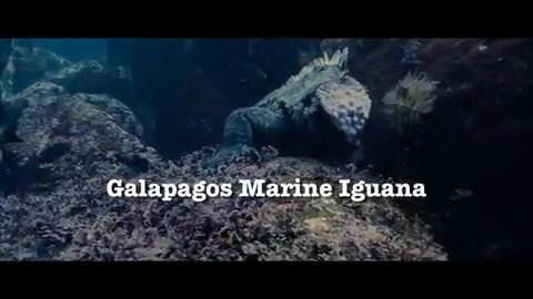 Oceans Bloopers - Joe Jonas and Demi Lovato 0600